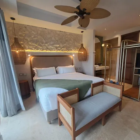 Casa Sonara Hotel 4*